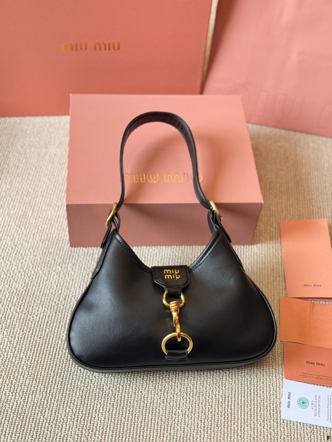 MiuMiu bag 51